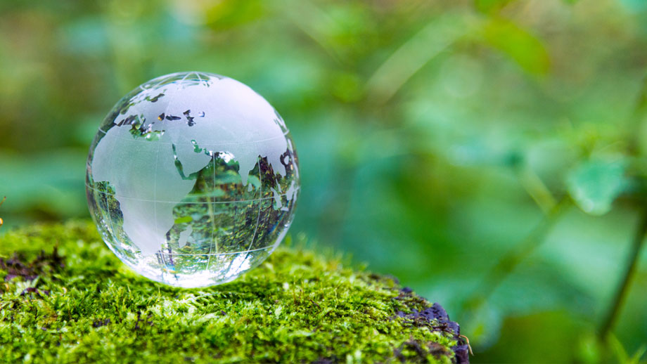 Environmental stewardship