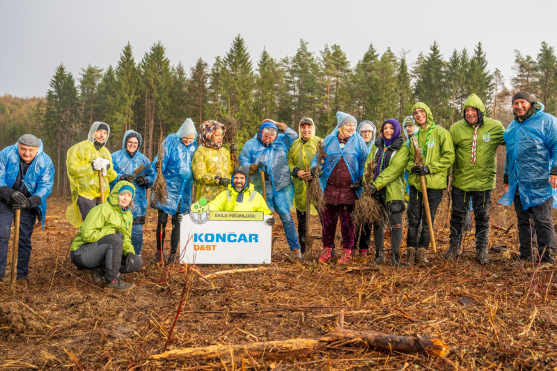 Co2mpensating by planting: our commitment to reforestation 
